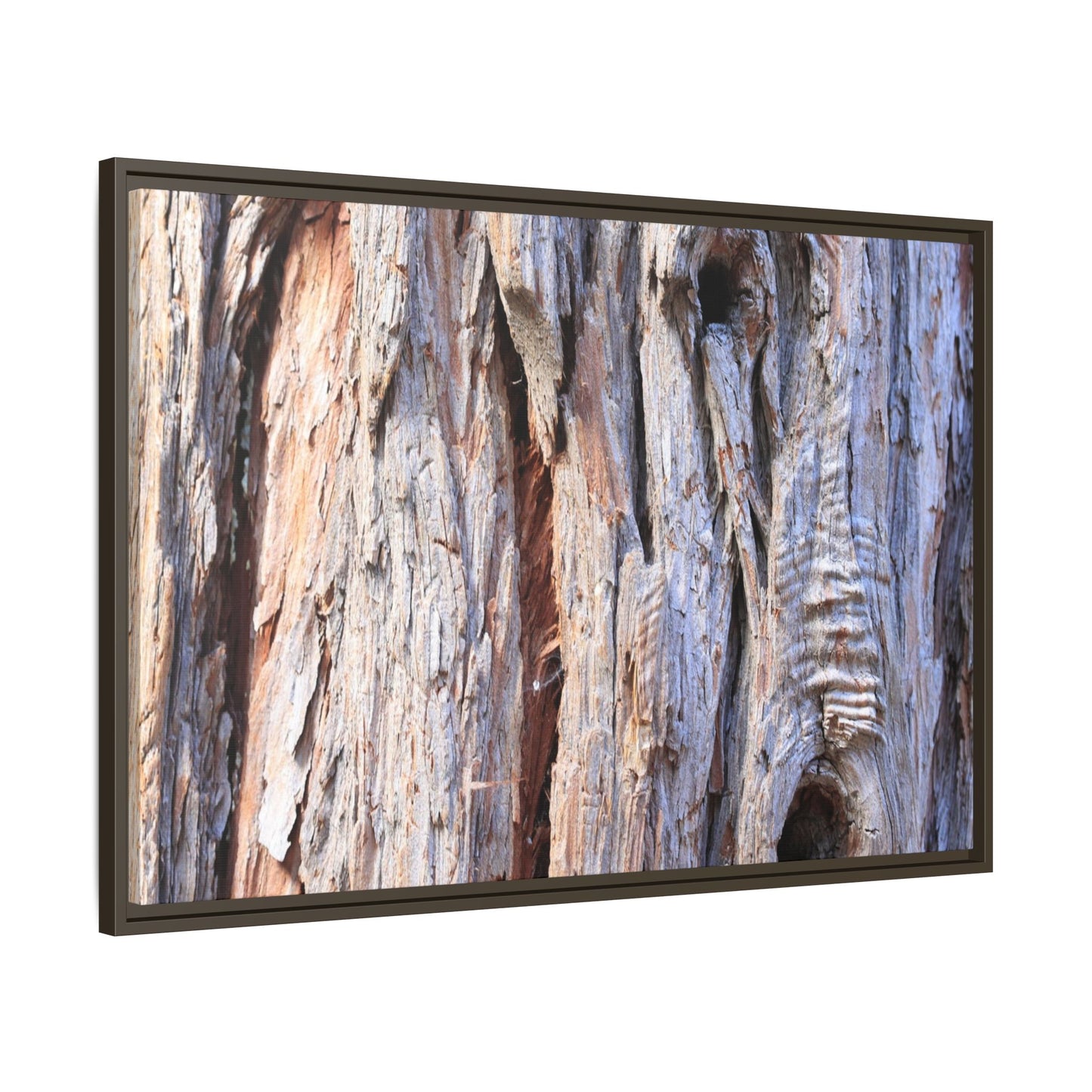 Nature's Grain - Unique Stretched Canvas Wall Art - Art By Earth