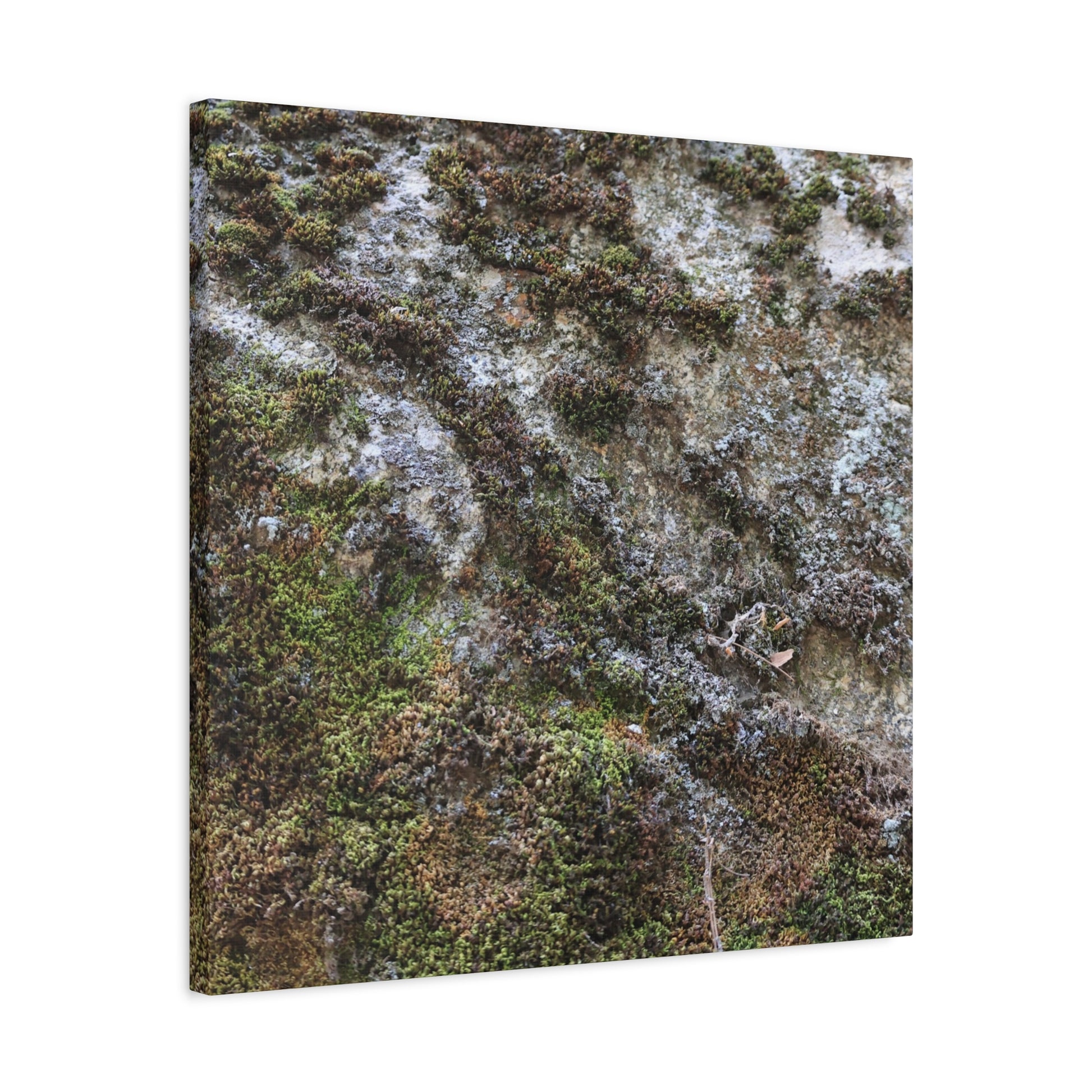 Moss Tapestry - Unique Frameless Canvas Wall Art - Art By Earth