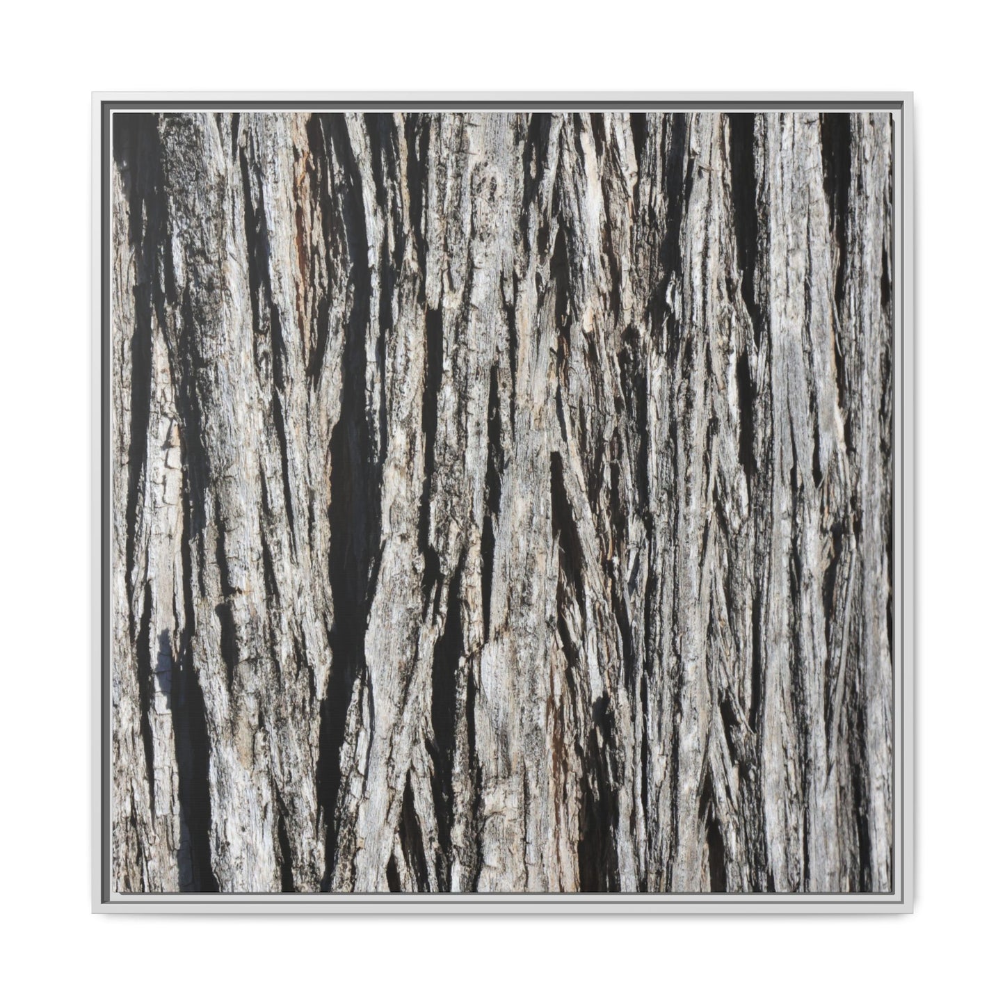Nature's Abstract - Unique Stretched Canvas Wall Art - Art By Earth