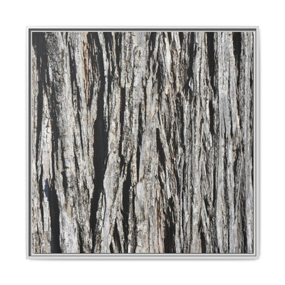Nature's Abstract - Unique Stretched Canvas Wall Art - Art By Earth