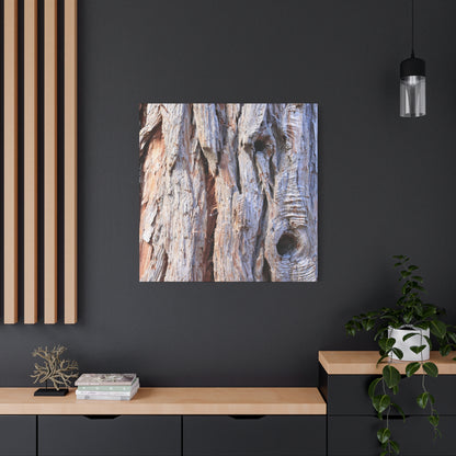 Aged Bark Surface - Unique Frameless Canvas Wall Art - Art By Earth