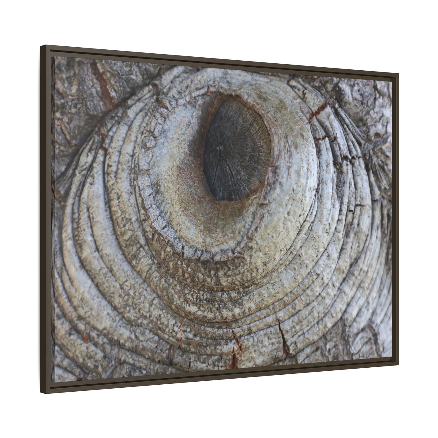 Echoes of Time - Unique Stretched Canvas Wall Art - Art By Earth