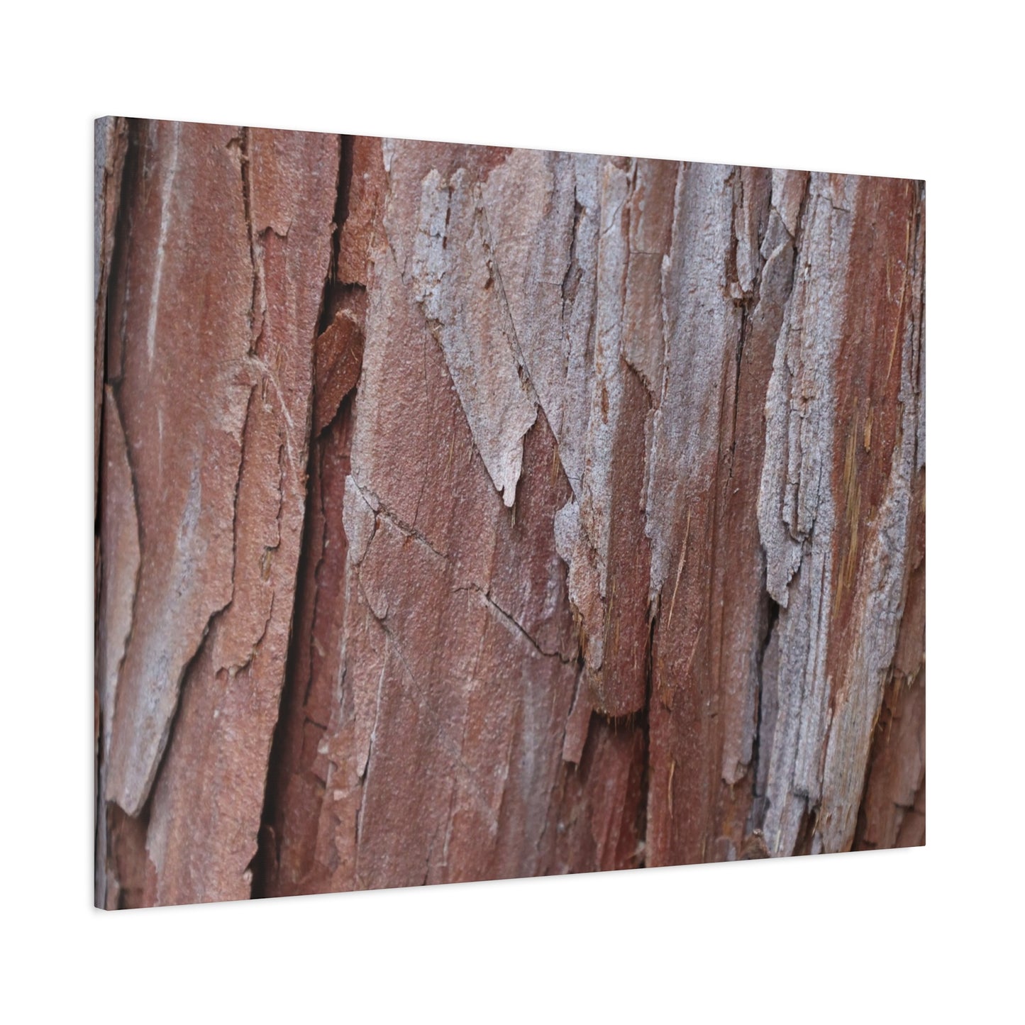 Peeling Paint - Unique Frameless Canvas Wall Art - Art By Earth