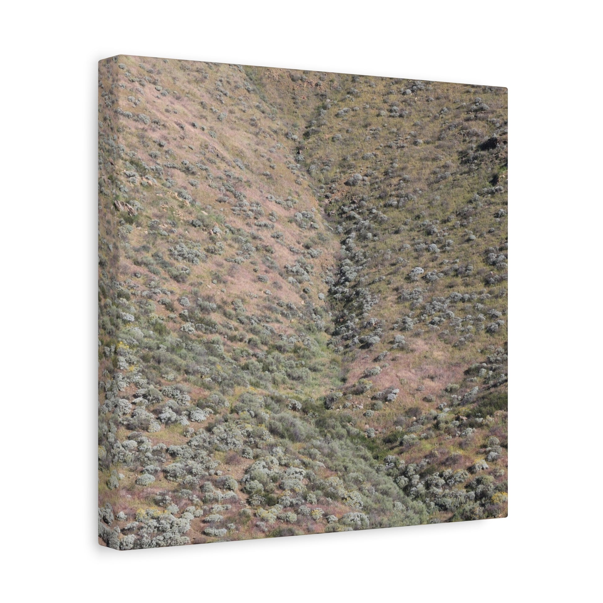 Desert Hillside - Unique Frameless Canvas Wall Art - Art By Earth