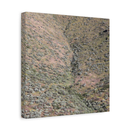 Desert Hillside - Unique Frameless Canvas Wall Art - Art By Earth