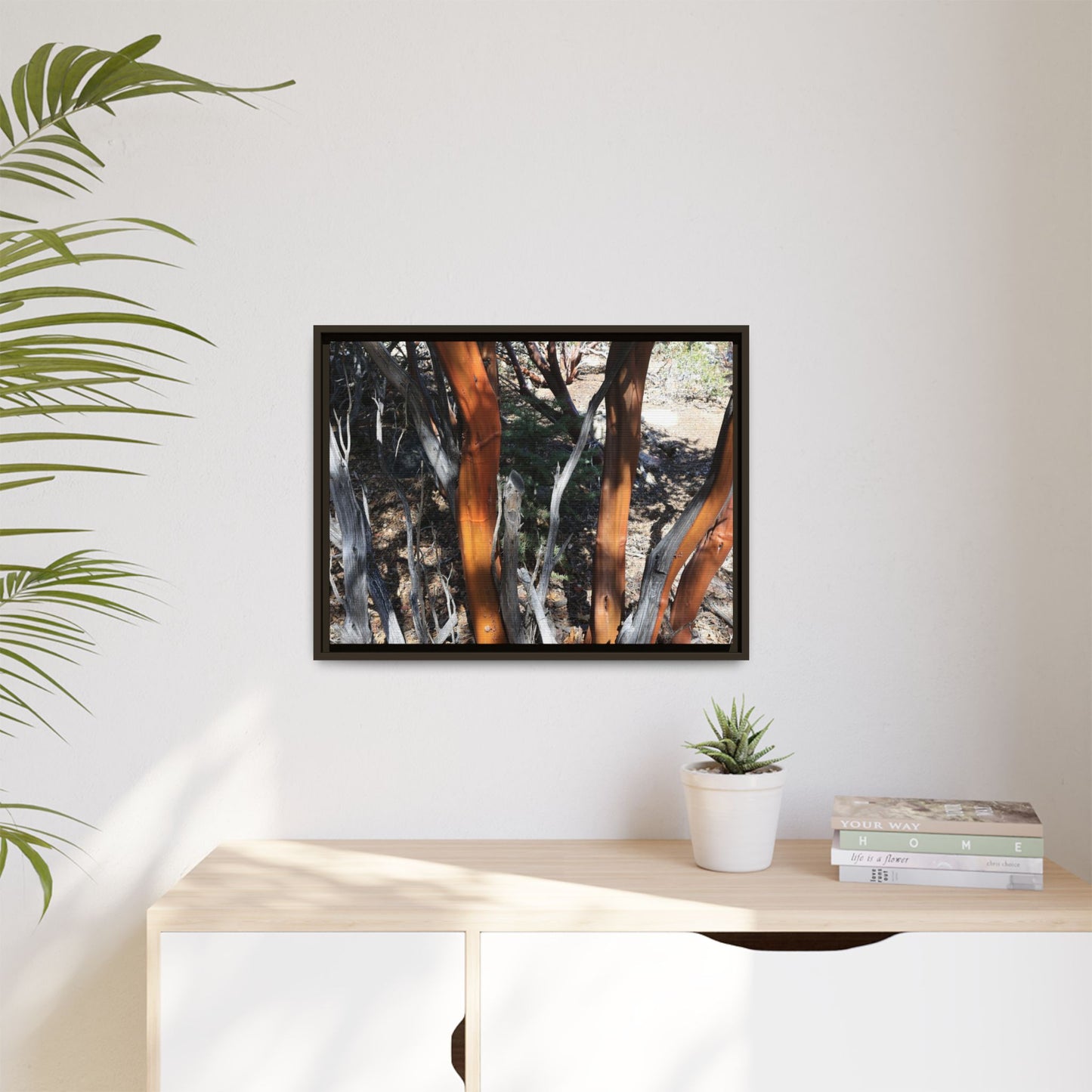 Eucalyptus Grove - Unique Stretched Canvas Wall Art