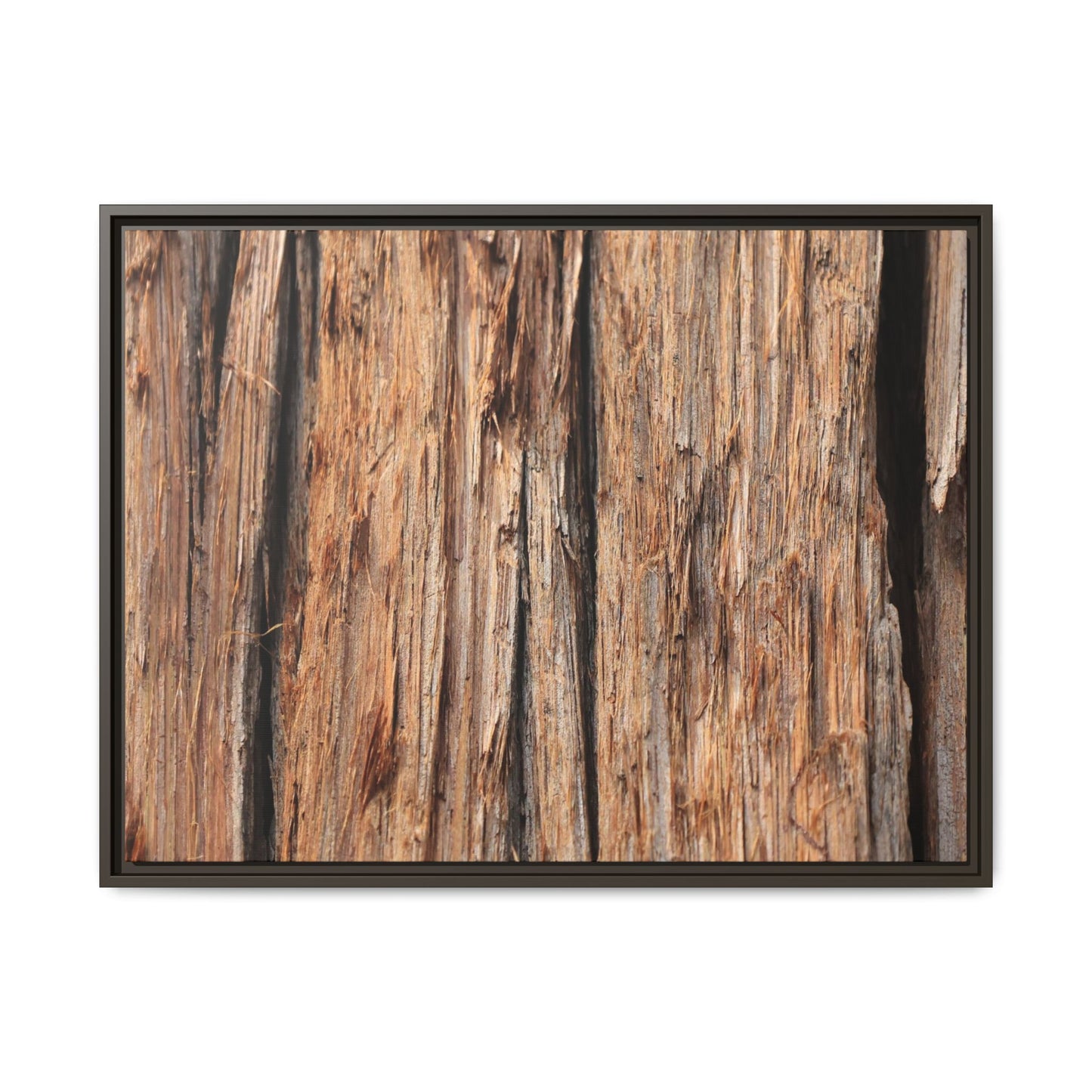 Timber Echoes - Unique Stretched Canvas Wall Art - Art By Earth