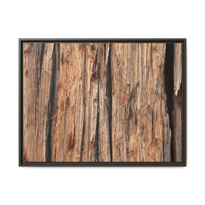 Timber Echoes - Unique Stretched Canvas Wall Art - Art By Earth