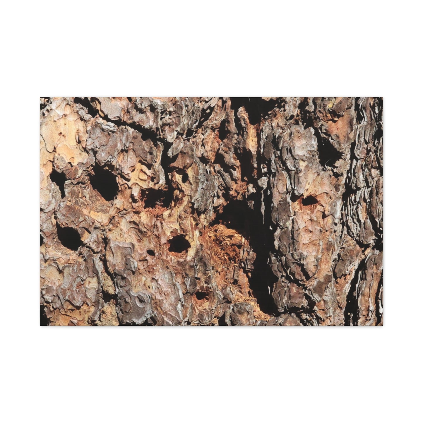 Tree Bark Mosaic - Unique Frameless Canvas Wall Art - Art By Earth