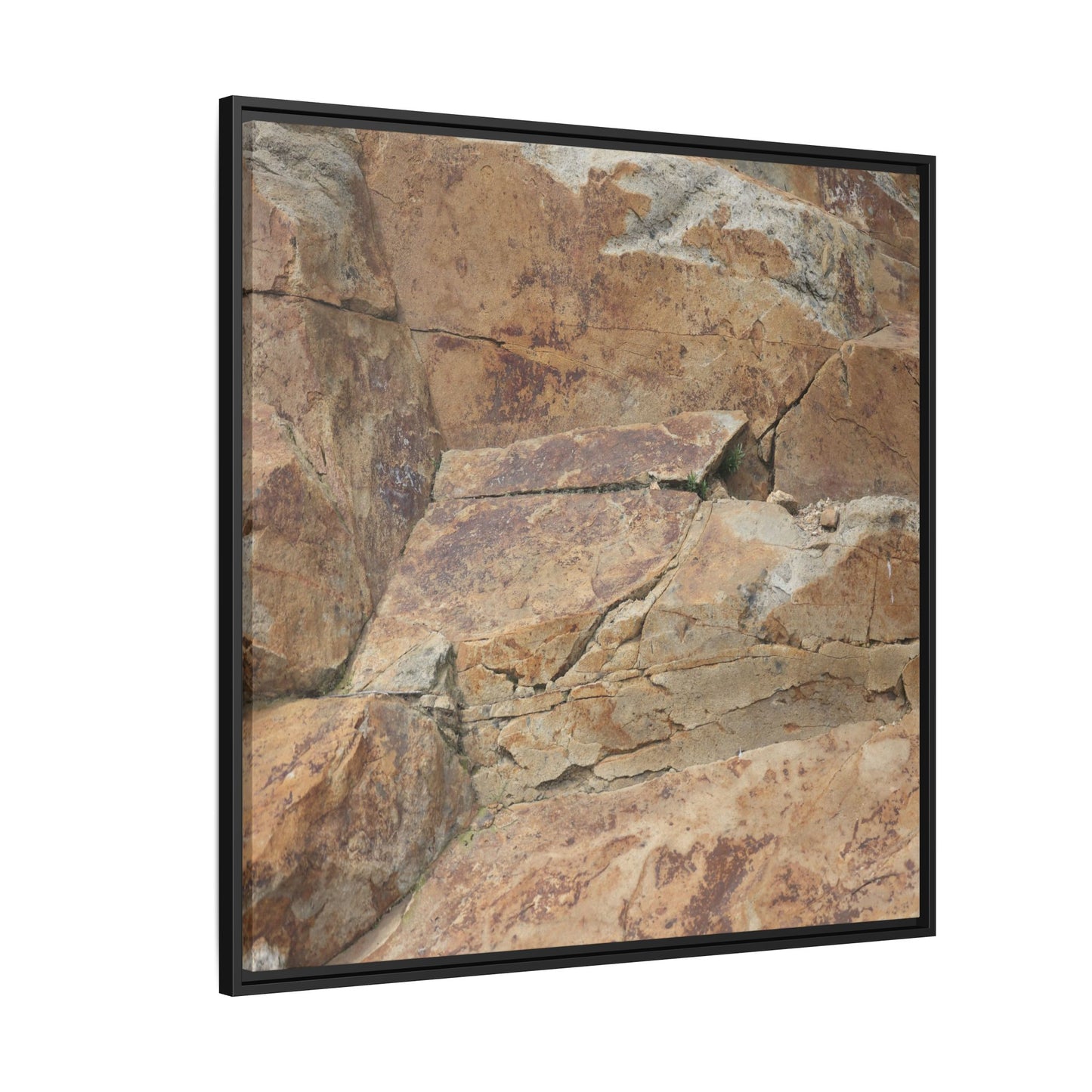 Ancient Foundations - Unique Stretched Canvas Wall Art - Art By Earth