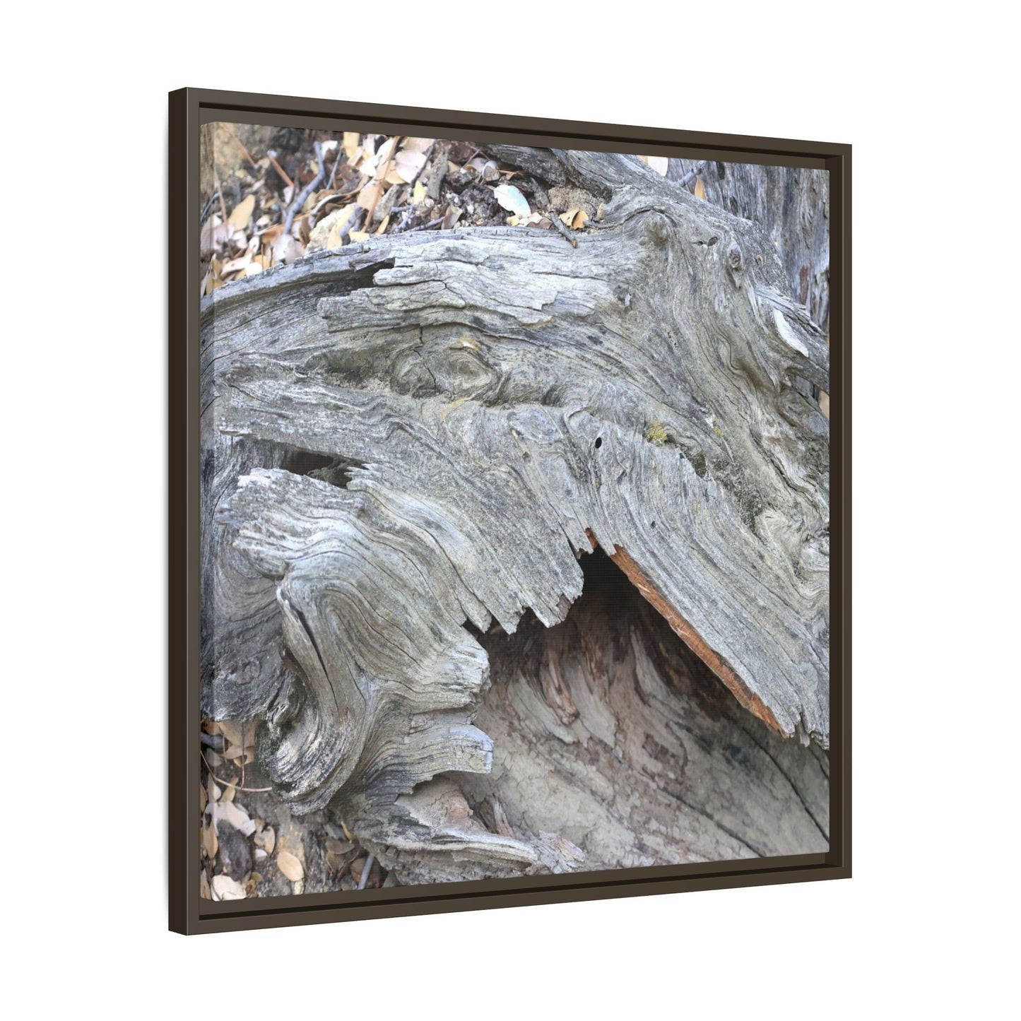 Driftwood Dreams - Unique Stretched Canvas Wall Art - Art By Earth