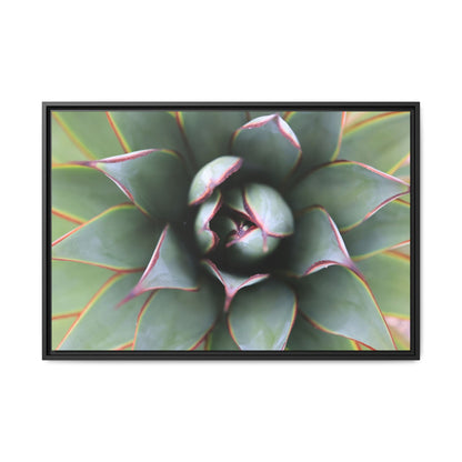 Spiky Elegance - Unique Stretched Canvas Wall Art - Art By Earth