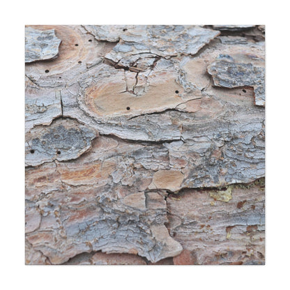 Textural Geology - Unique Frameless Canvas Wall Art - Art By Earth