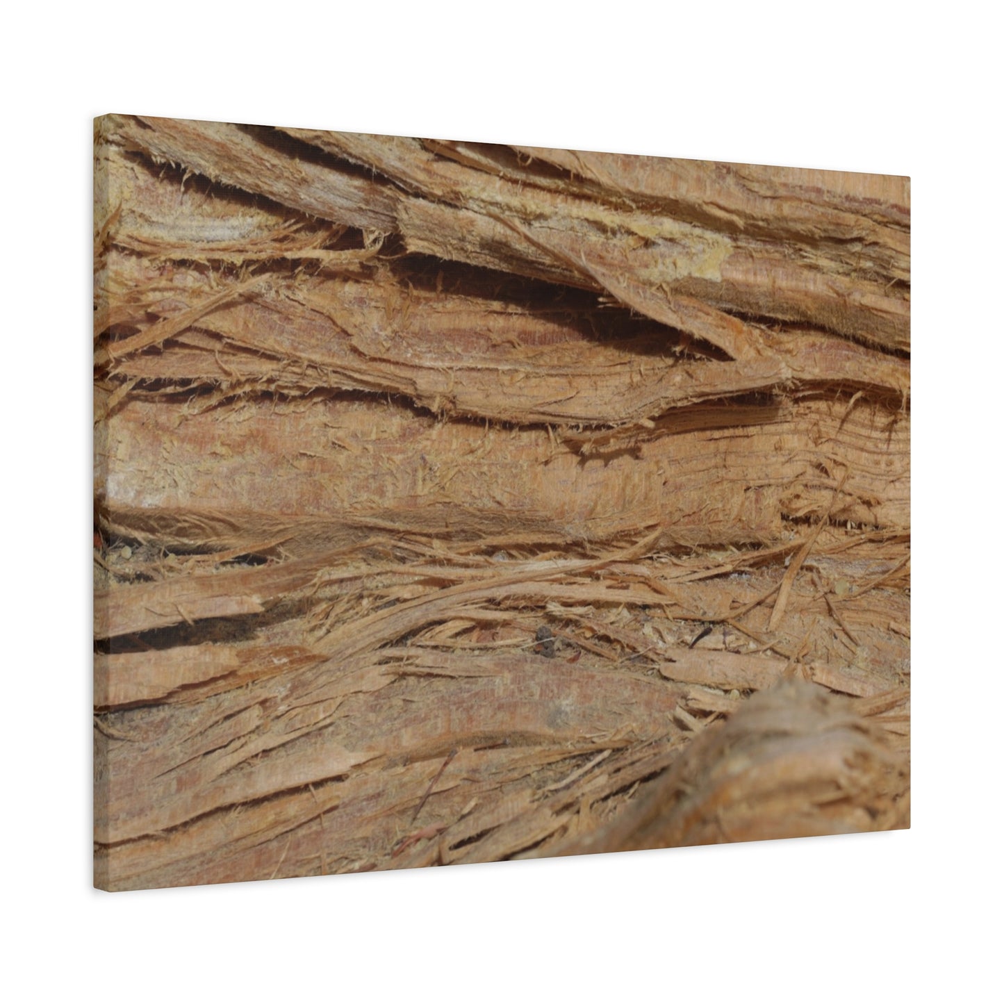 Layers of Memory - Unique Frameless Canvas Wall Art - Art By Earth