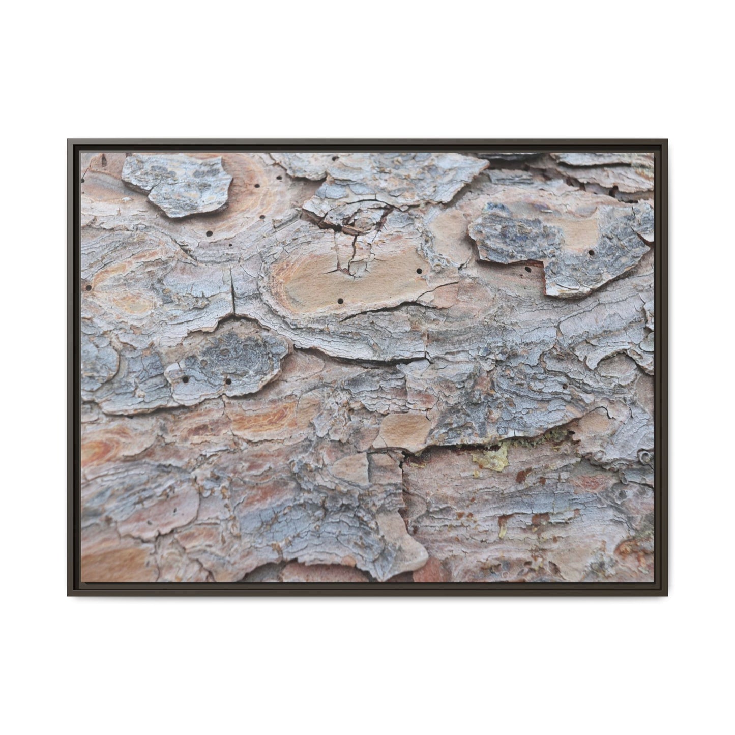 Peeling Memories - Unique Stretched Canvas Wall Art - Art By Earth