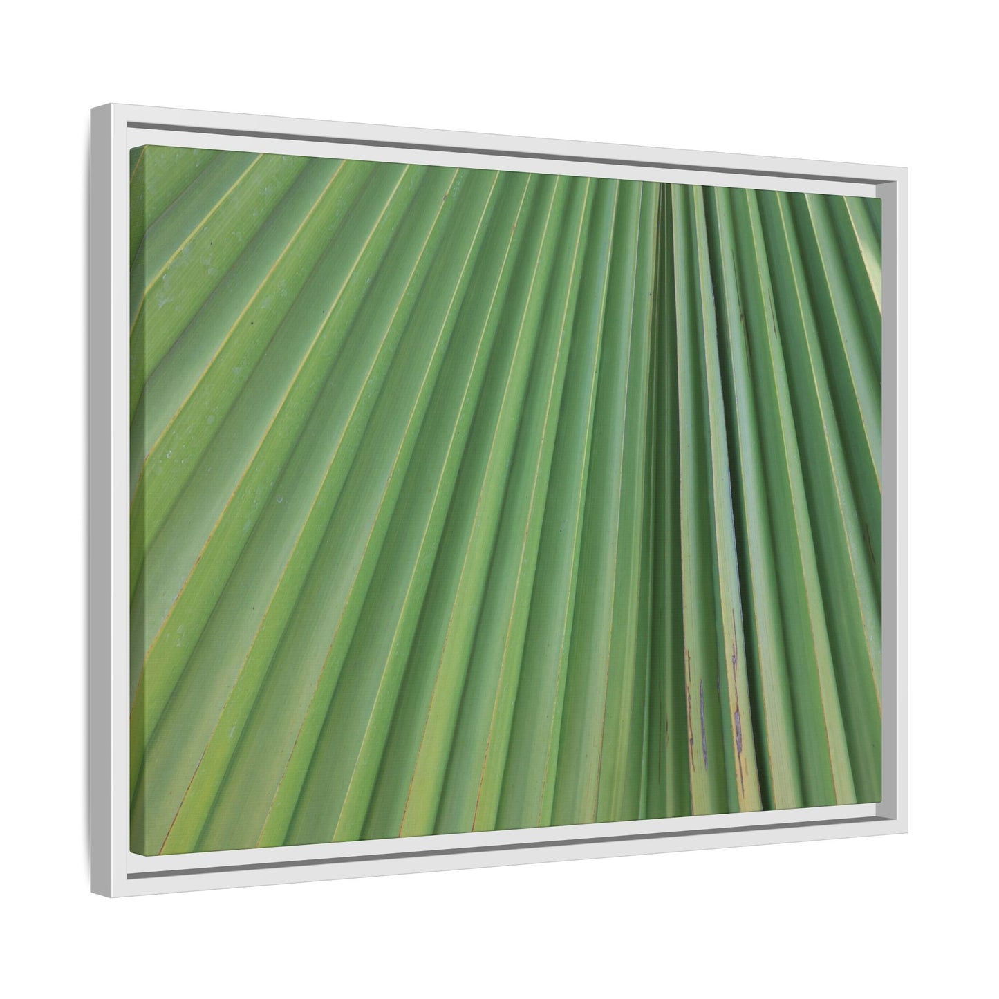 Emerald Rays - Unique Stretched Canvas Wall Art - Art By Earth