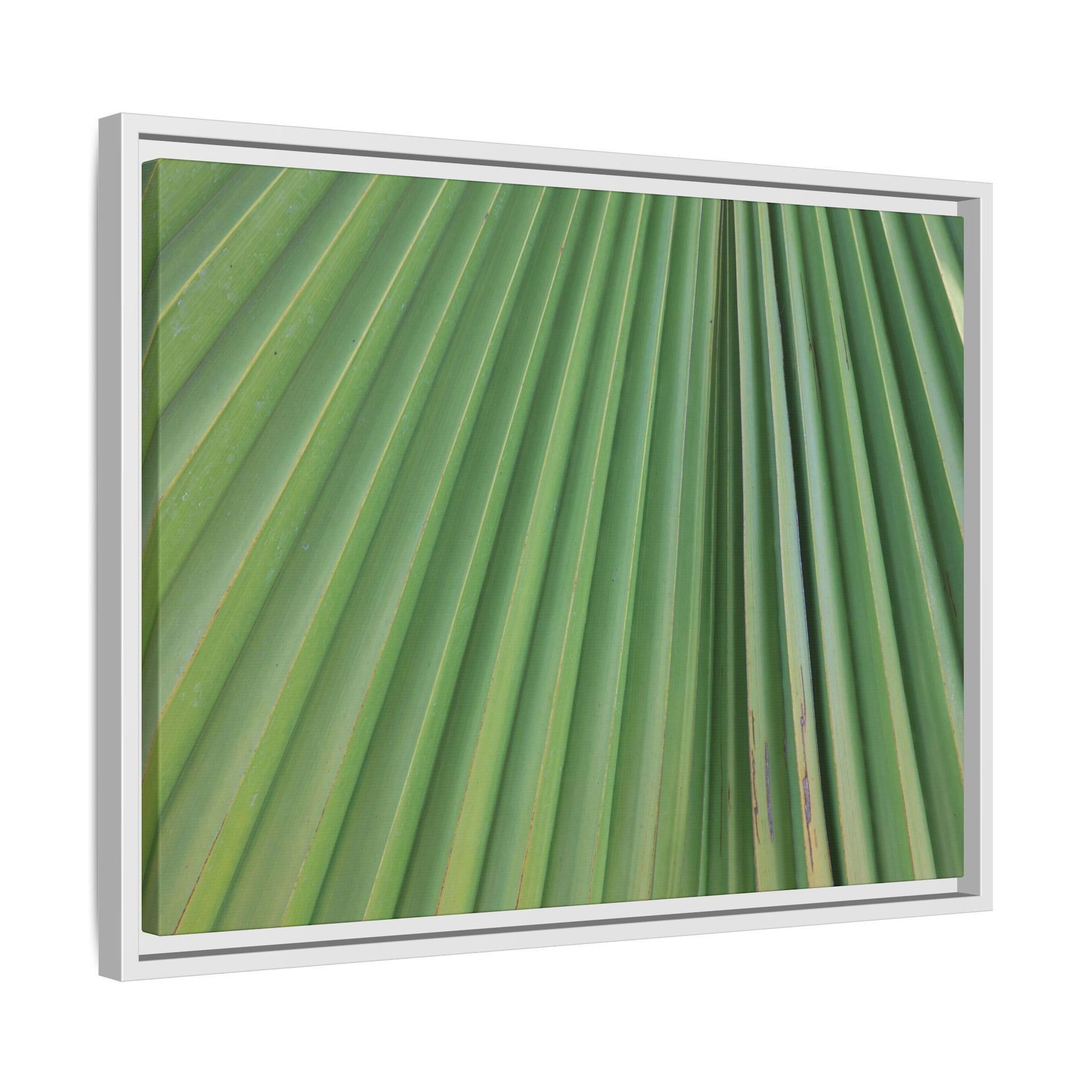 Emerald Rays - Unique Stretched Canvas Wall Art - Art By Earth