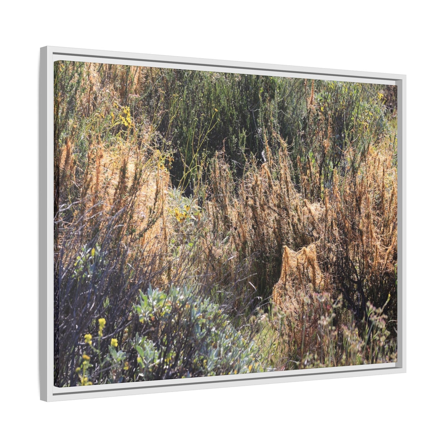Drought-Stricken Landscape - Unique Stretched Canvas Wall Art - Art By Earth