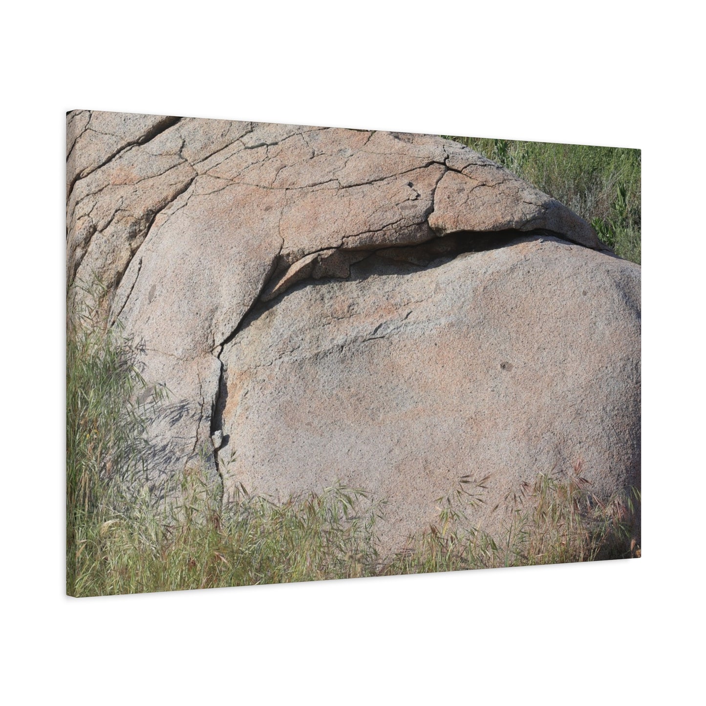 Granite Boulder in Desert Scrub - Unique Frameless Canvas Wall Art - Art By Earth