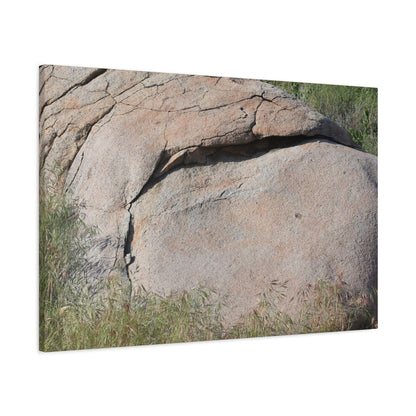 Granite Boulder in Desert Scrub - Unique Frameless Canvas Wall Art - Art By Earth