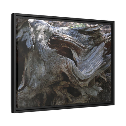 Twisted Memories - Unique Stretched Canvas Wall Art - Art By Earth