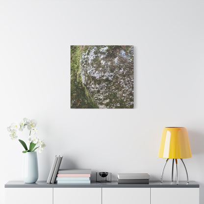Moss and Stone Whispers - Unique Frameless Canvas Wall Art - Art By Earth