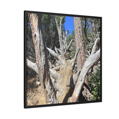 Forest Sentinels - Unique Stretched Canvas Wall Art