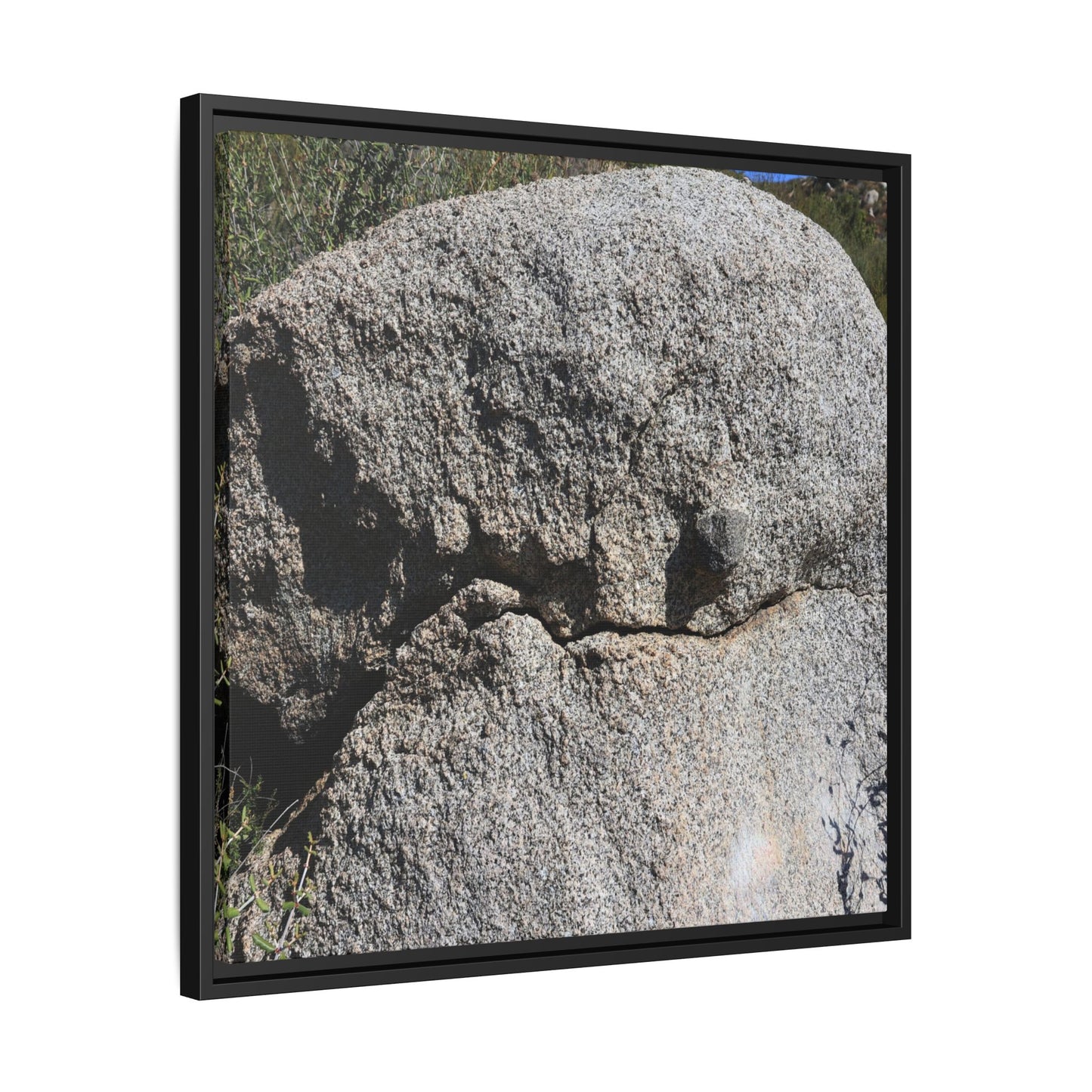 Stone Skull in Desert - Unique Stretched Canvas Wall Art
