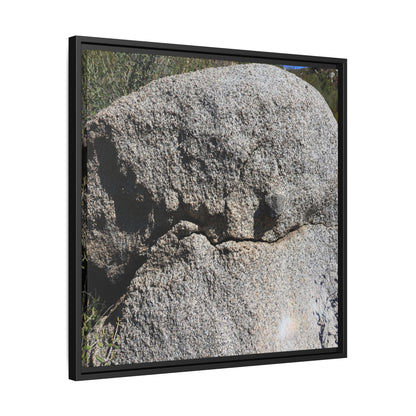 Stone Skull in Desert - Unique Stretched Canvas Wall Art
