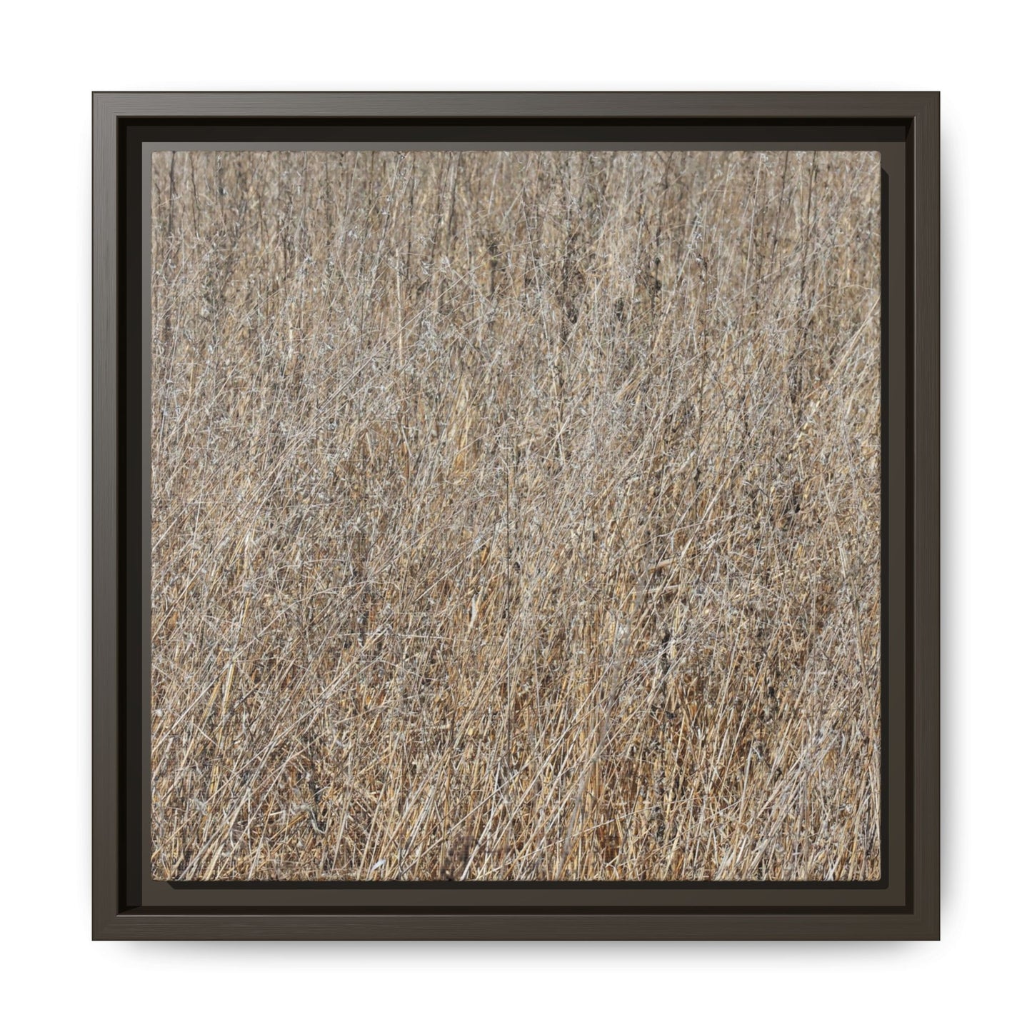 Dry Straw Symphony - Unique Stretched Canvas Wall Art - Art By Earth