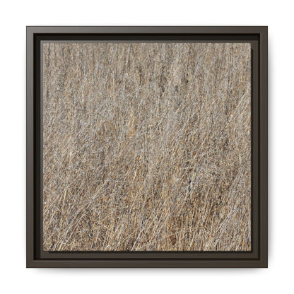 Dry Straw Symphony - Unique Stretched Canvas Wall Art - Art By Earth