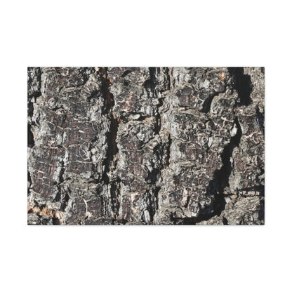 Cracked Skin of Earth - Unique Frameless Canvas Wall Art - Art By Earth