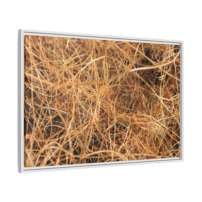 Dried Grass - Unique Stretched Canvas Wall Art - Art By Earth