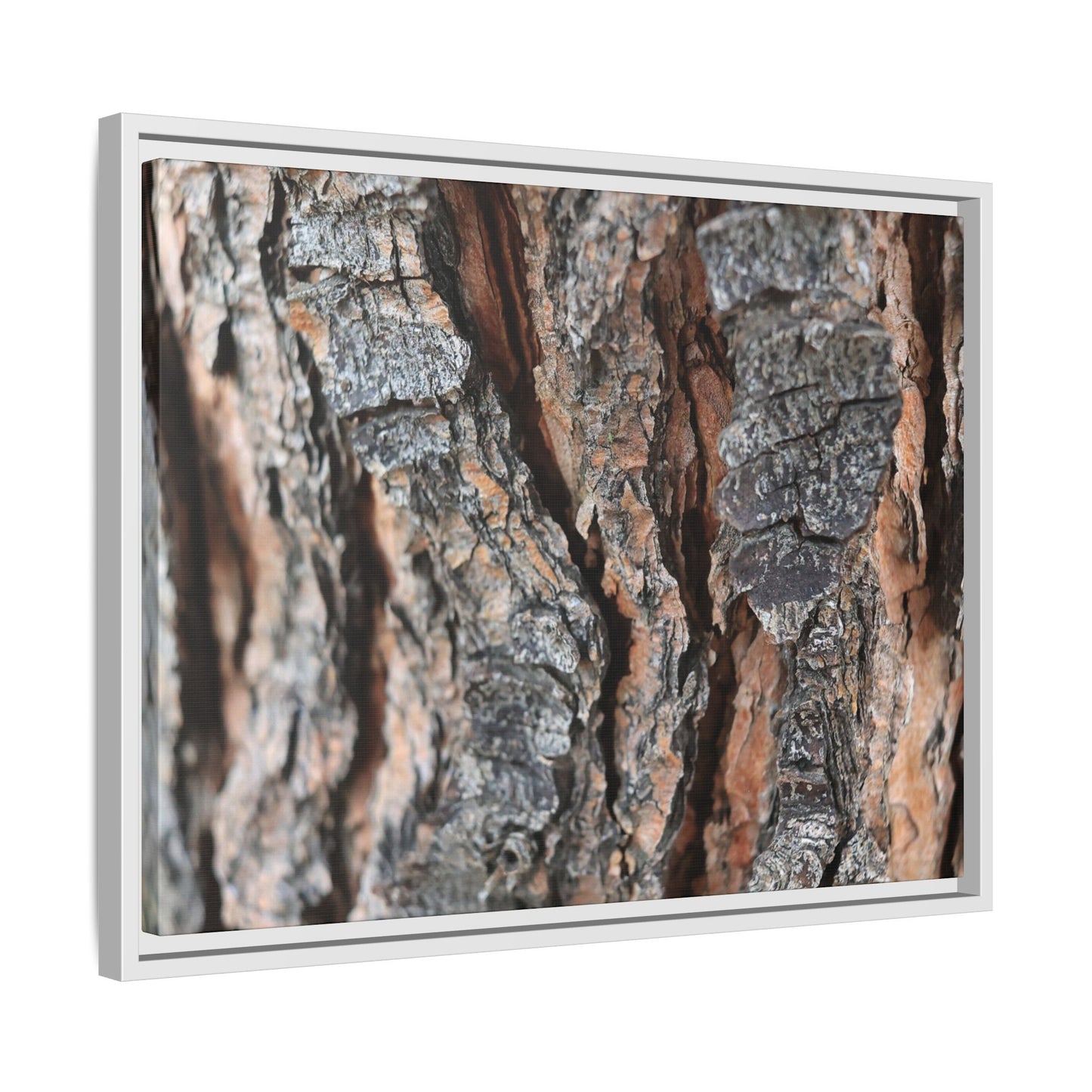 Fractured Nature - Unique Stretched Canvas Wall Art - Art By Earth