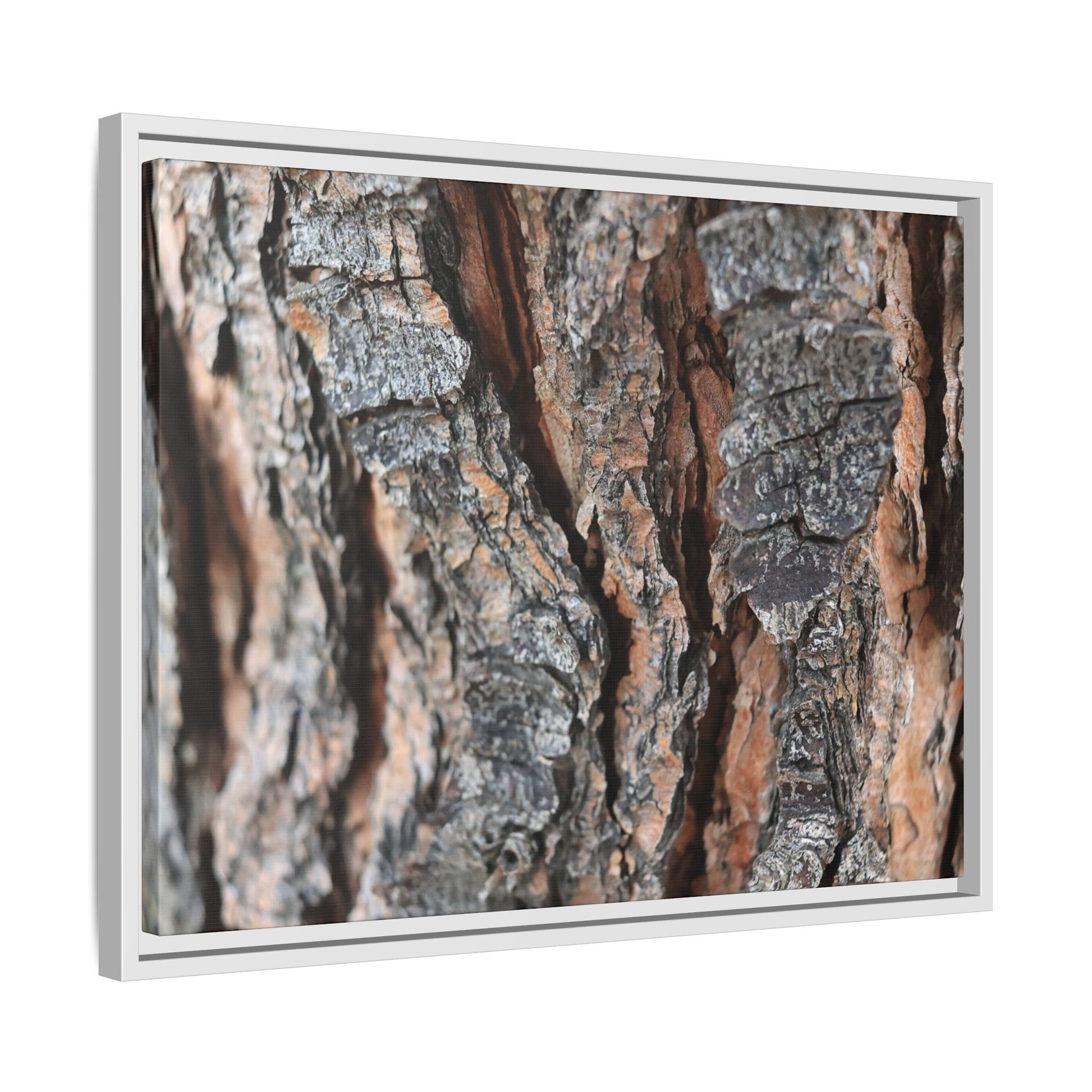 Fractured Nature - Unique Stretched Canvas Wall Art - Art By Earth