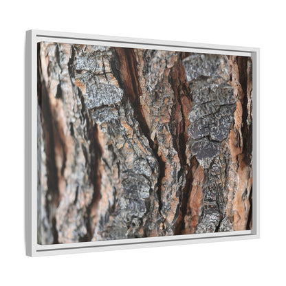 Fractured Nature - Unique Stretched Canvas Wall Art - Art By Earth