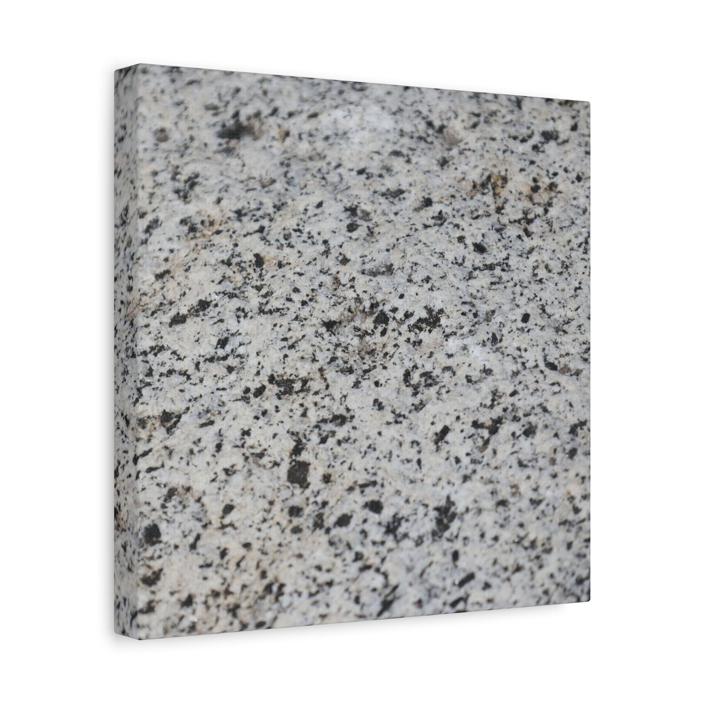 Speckled Silence - Unique Frameless Canvas Wall Art - Art By Earth