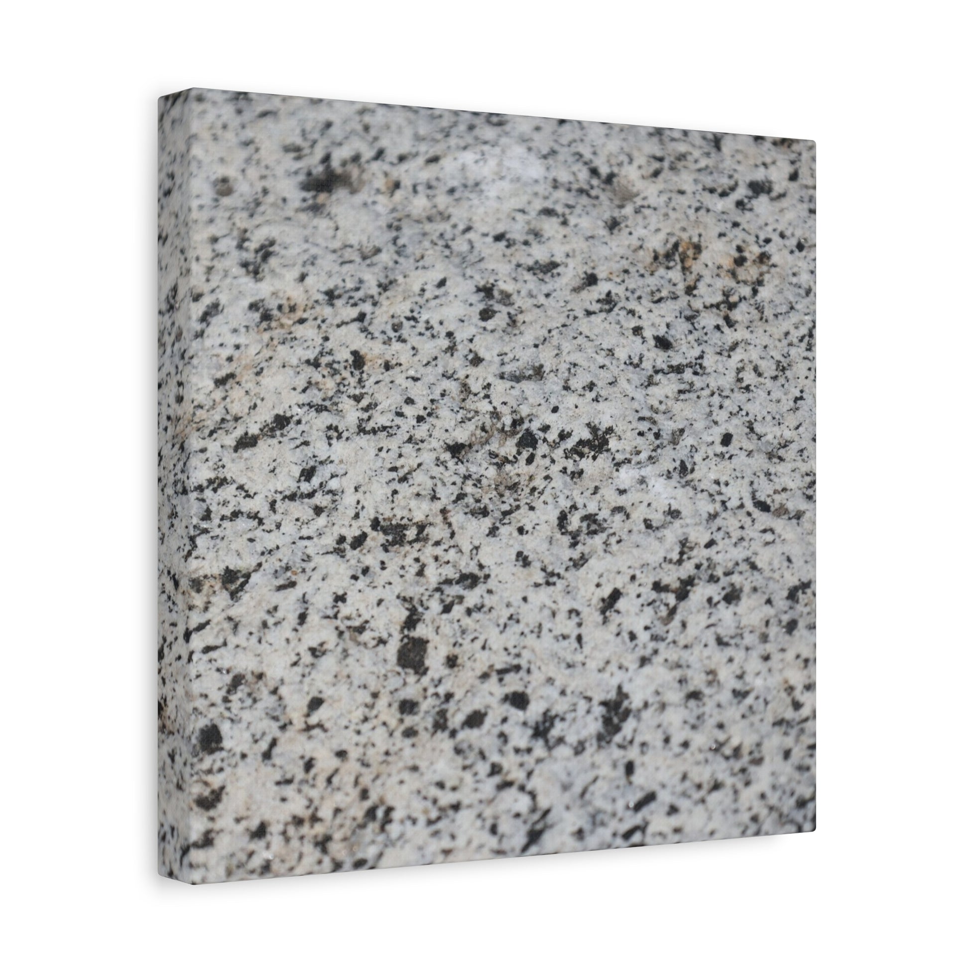 Speckled Silence - Unique Frameless Canvas Wall Art - Art By Earth