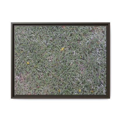 Grassy Texture - Unique Stretched Canvas Wall Art - Art By Earth