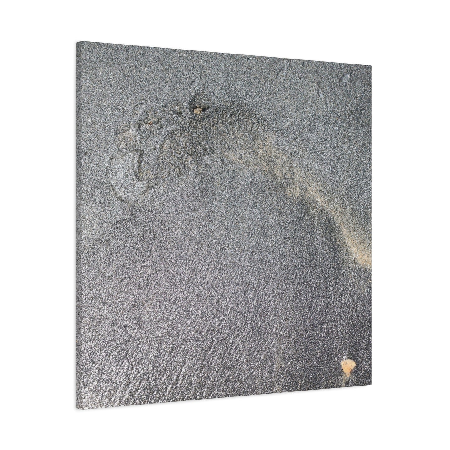 Ephemeral Whispers of Granite - Unique Frameless Canvas Wall Art - Art By Earth