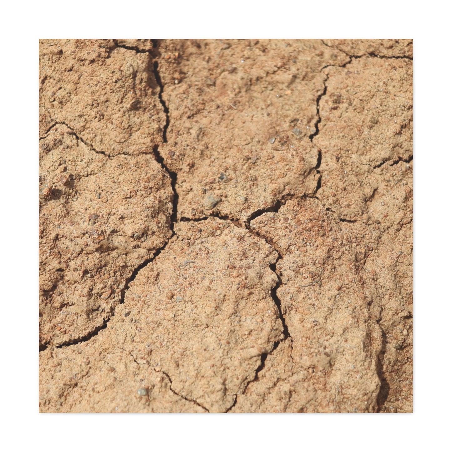 Cracked Earth's Lament - Unique Frameless Canvas Wall Art - Art By Earth