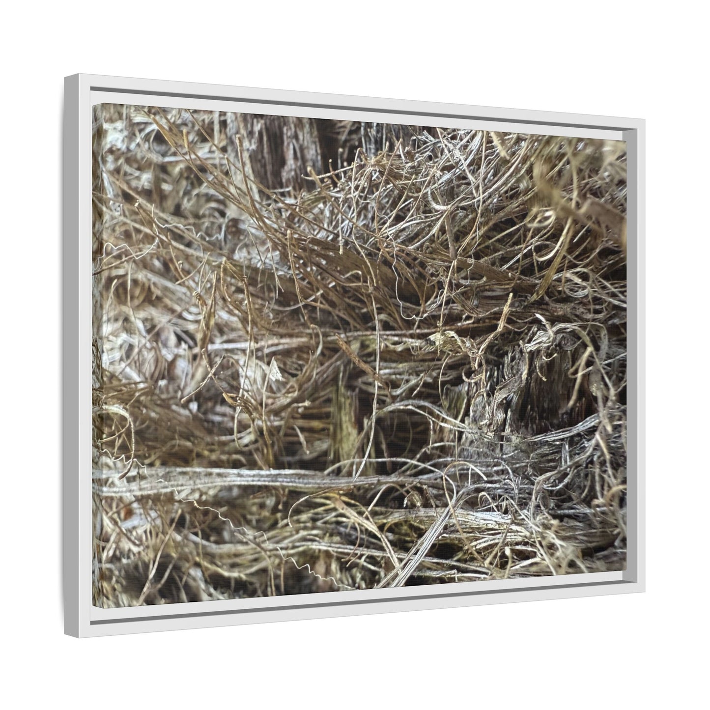 Tangled Whispers of Autumn - Unique Stretched Canvas Wall Art - Art By Earth