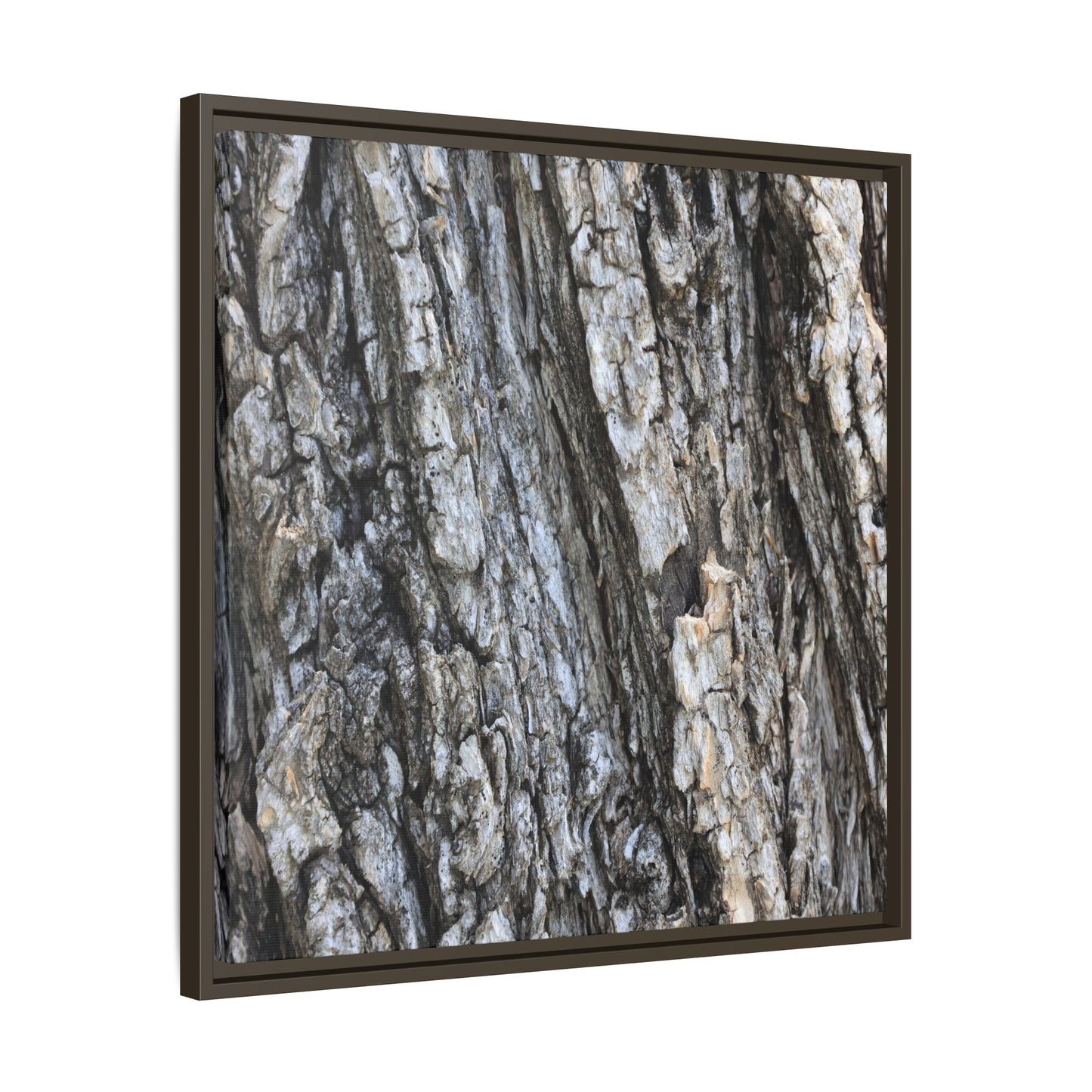 Twisted Textures - Unique Stretched Canvas Wall Art - Art By Earth