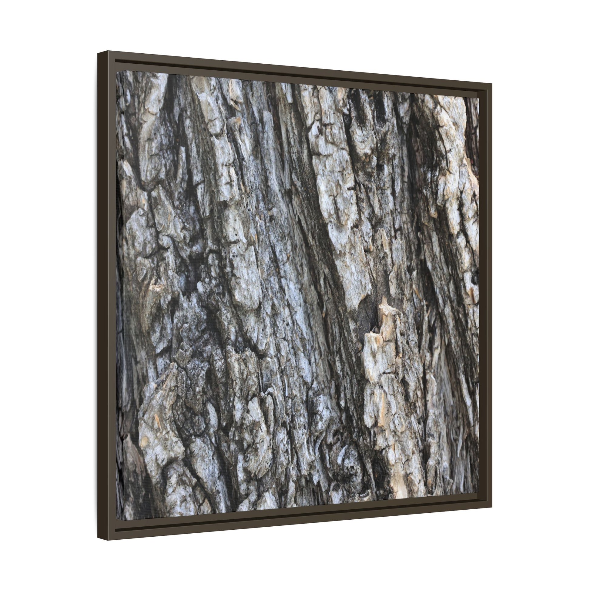 Twisted Textures - Unique Stretched Canvas Wall Art - Art By Earth