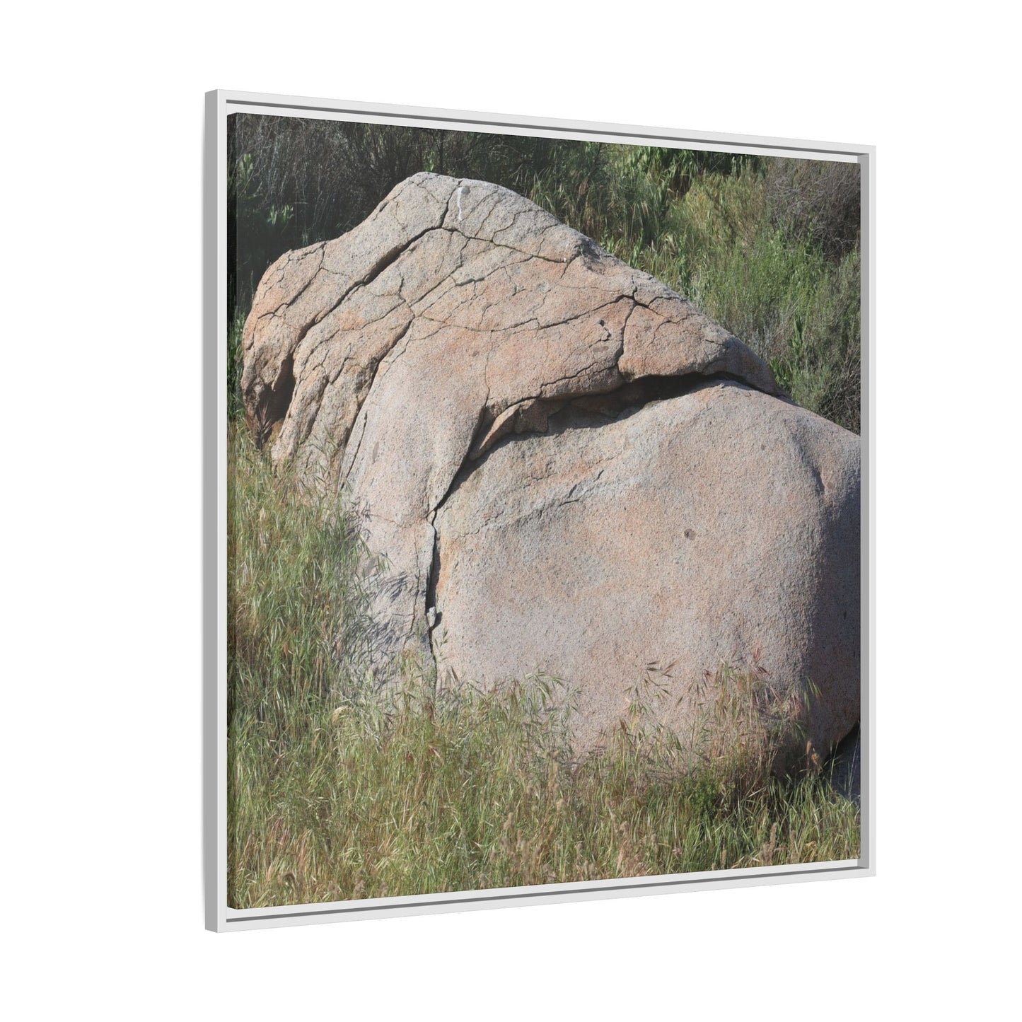 Stone Head Emerging from Earth - Unique Stretched Canvas Wall Art - Art By Earth