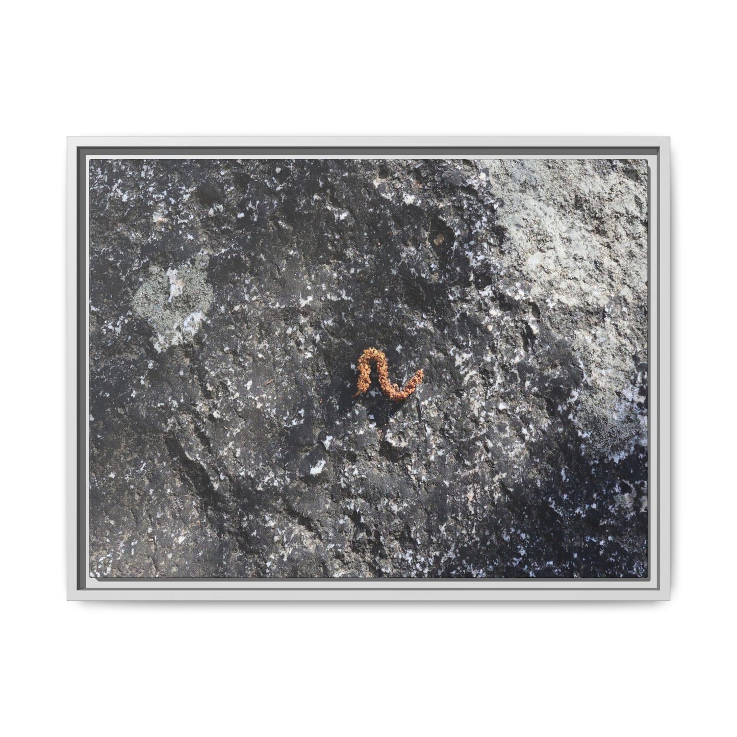 Volcanic Ash and Copper - Unique Stretched Canvas Wall Art - Art By Earth