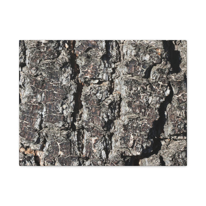 Cracked Skin of Earth - Unique Frameless Canvas Wall Art - Art By Earth