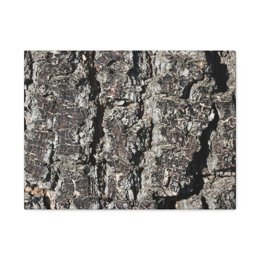 Cracked Skin of Earth - Unique Frameless Canvas Wall Art - Art By Earth