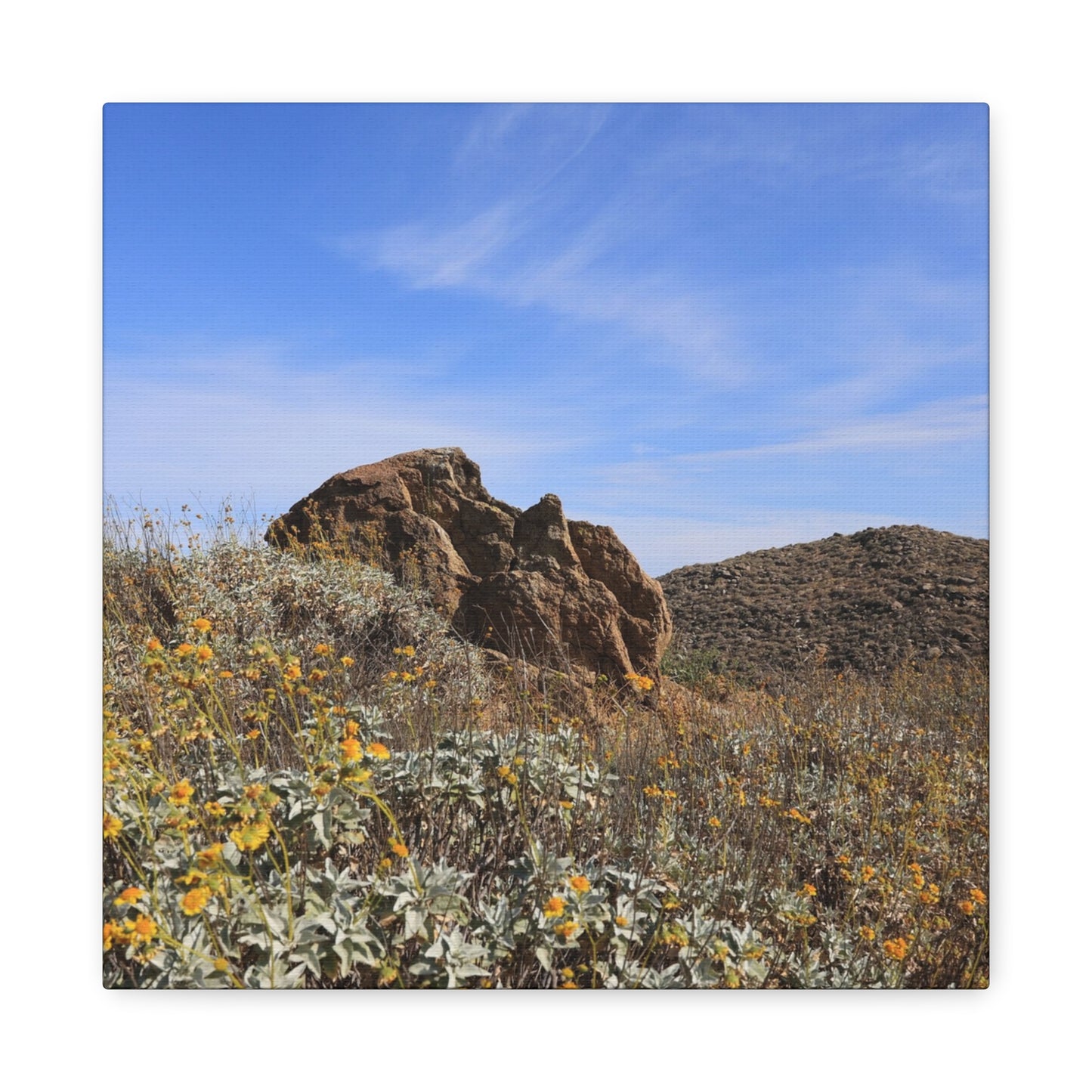 Desert Bloom - Unique Frameless Canvas Wall Art - Art By Earth