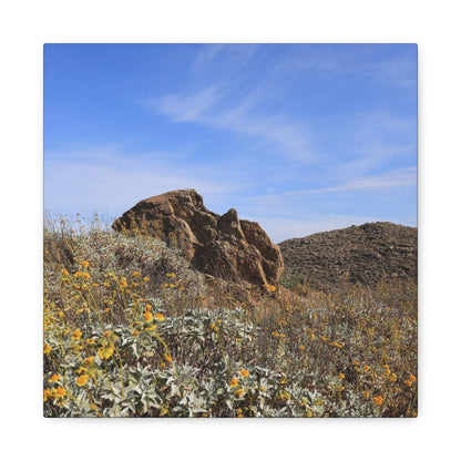 Desert Bloom - Unique Frameless Canvas Wall Art - Art By Earth